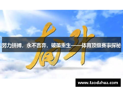 努力拼搏，永不言弃，破茧重生——体育顶级赛事探秘