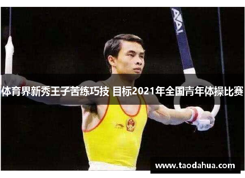 体育界新秀王子苦练巧技 目标2021年全国青年体操比赛